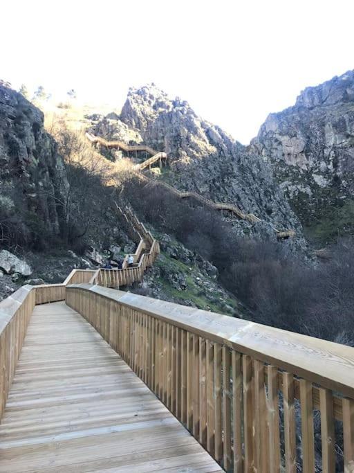 Rustico T1 No Centro Cidade Guarda Dış mekan fotoğraf